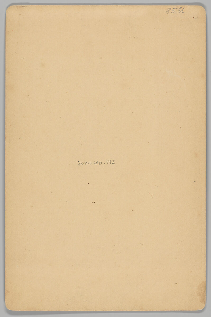 [Merchants' Carnival Portrait: Mrs. B. E. Pinney Milliner, Stoughton, Wisconsin], William A. Fermann (American, 1839–1915), Albumen silver print