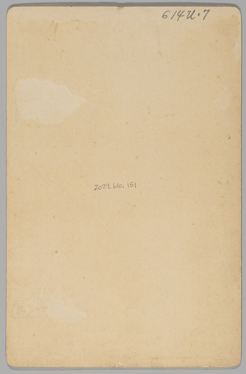 [Merchants' Carnival Portrait: W. R. Dennis, Lincoln, Nebraska], Elite Studio (American, 1880s–1890s), Albumen silver print