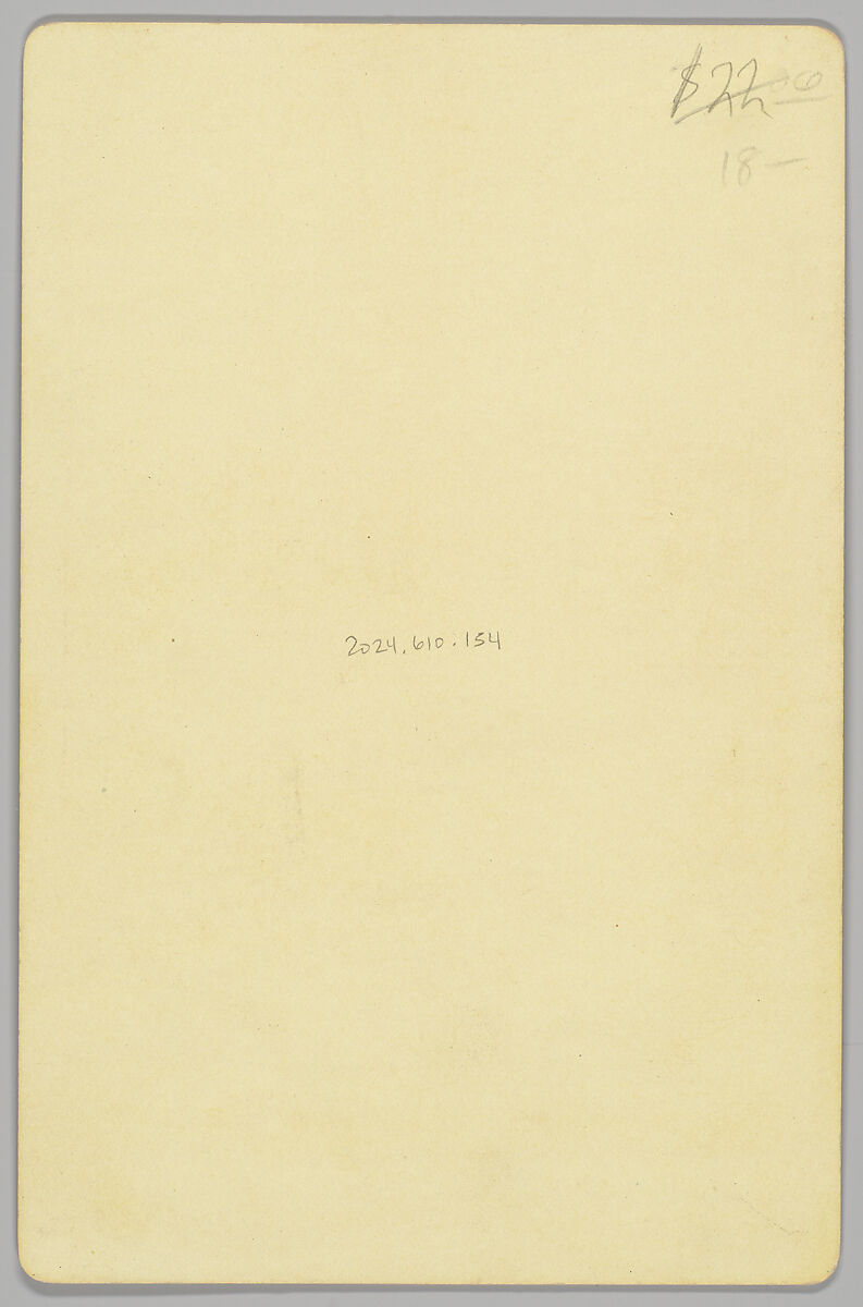 [Merchants' Carnival Portrait: Talbot and W.L. Paul, Brooklyn, Iowa], Dunlap (American, active 1880s–1890s), Albumen silver print