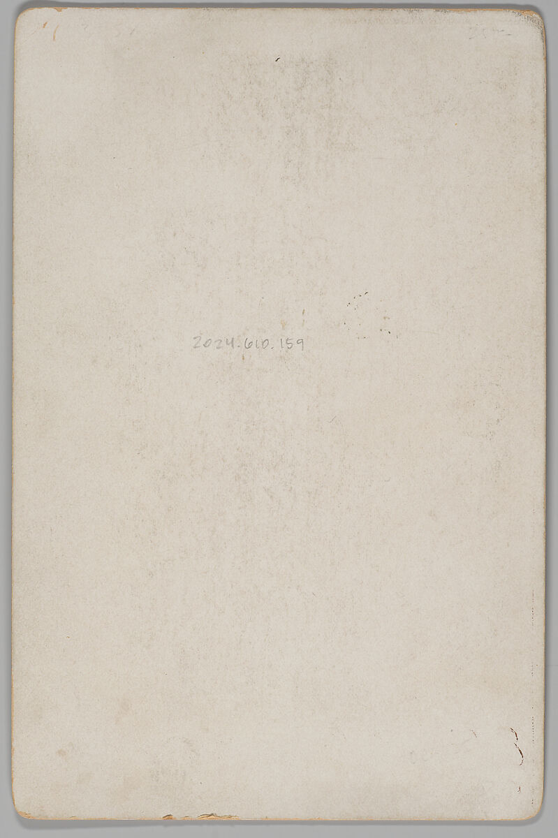 [Merchants' Carnival Portrait: B.F. Mason Attorney, Hagerstown, Indiana], Josephus Wallick (American, 1849–1920), Gelatin silver print