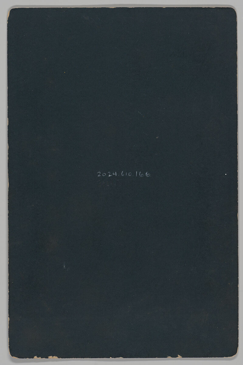 [Merchants' Carnival Portrait: Philips & McClure, Augusta, Illinois], N. McDonald (American, active 1880s–1890s), Albumen silver print