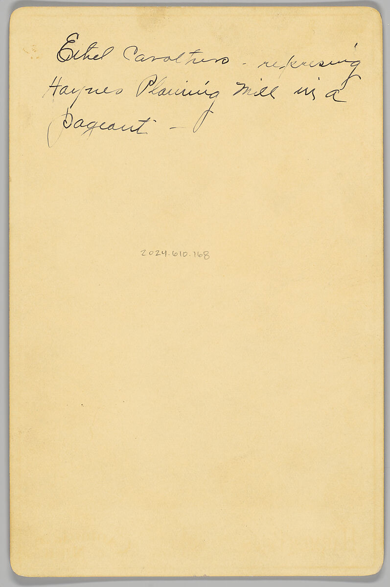 [Merchants' Carnival Portrait: Haynes Planing Mill, Cadillac, Michigan], Harmer Bros. (American, active 1880s–1890s), Gelatin silver print