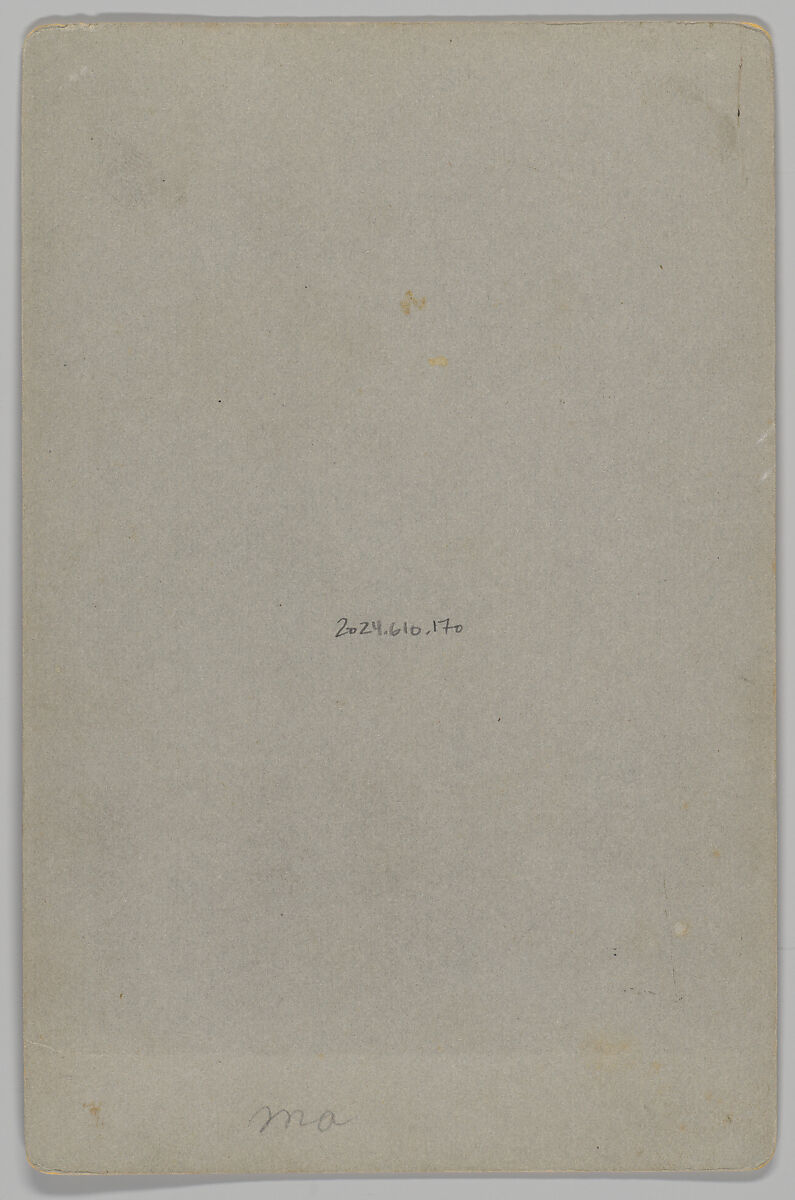 [Merchants' Carnival Portrait: William W. Briley's Fine Art Studio, Flushing, Michigan], William W. Briley (American, active 1880s), Albumen silver print