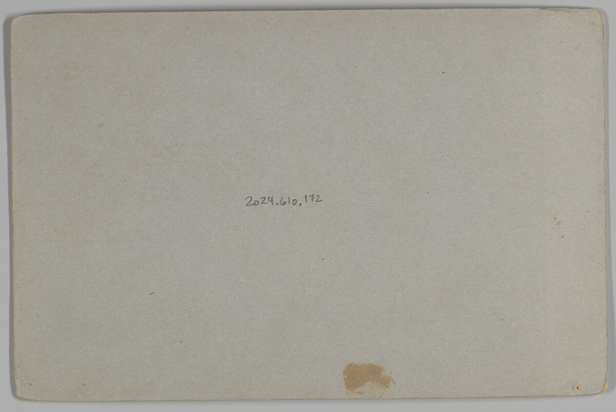 [William W. Briley's Fine Art Studio, Flushing, Michigan], William W. Briley (American, active 1880s), Albumen silver print