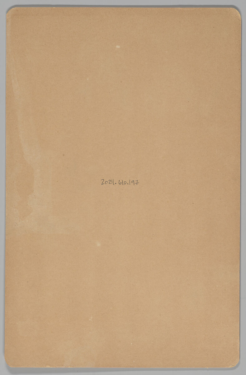 [Woman], Sears (American, active 1880s–1890s), Albumen silver print