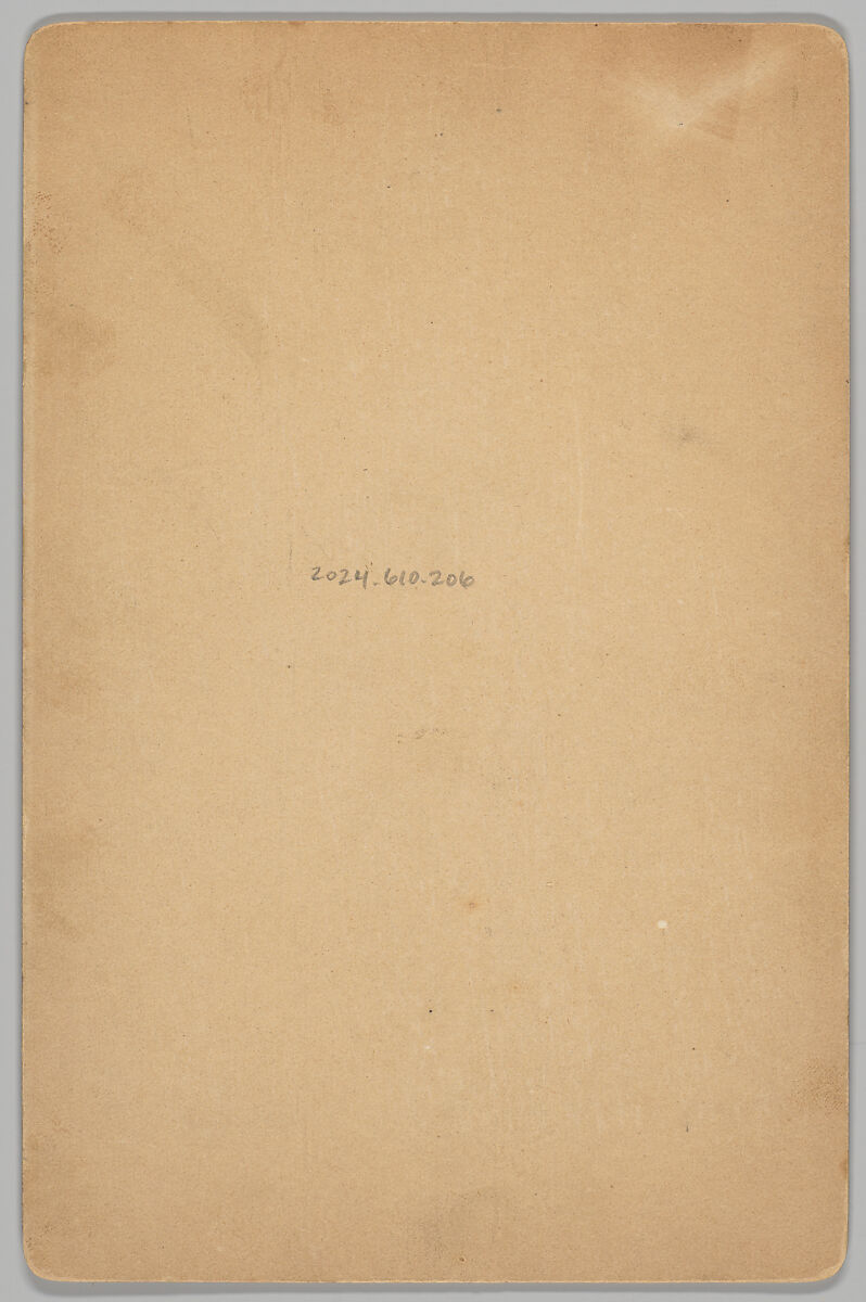 [Merchants' Carnival Portrait: Congress of Beauty Banner], Robinson and Roe (American, active 1877–98), Gelatin silver print