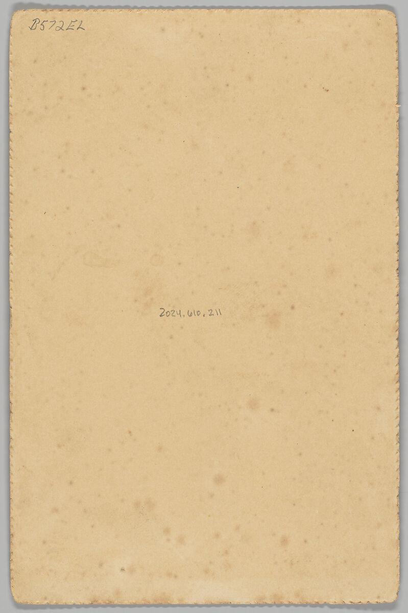 [Merchants' Carnival Portrait: J.H. Calvert & Co Fine Stationery, Seattle, Washington], Rothi and Sanstrom (American, active 1880s–1890s), Albumen silver print