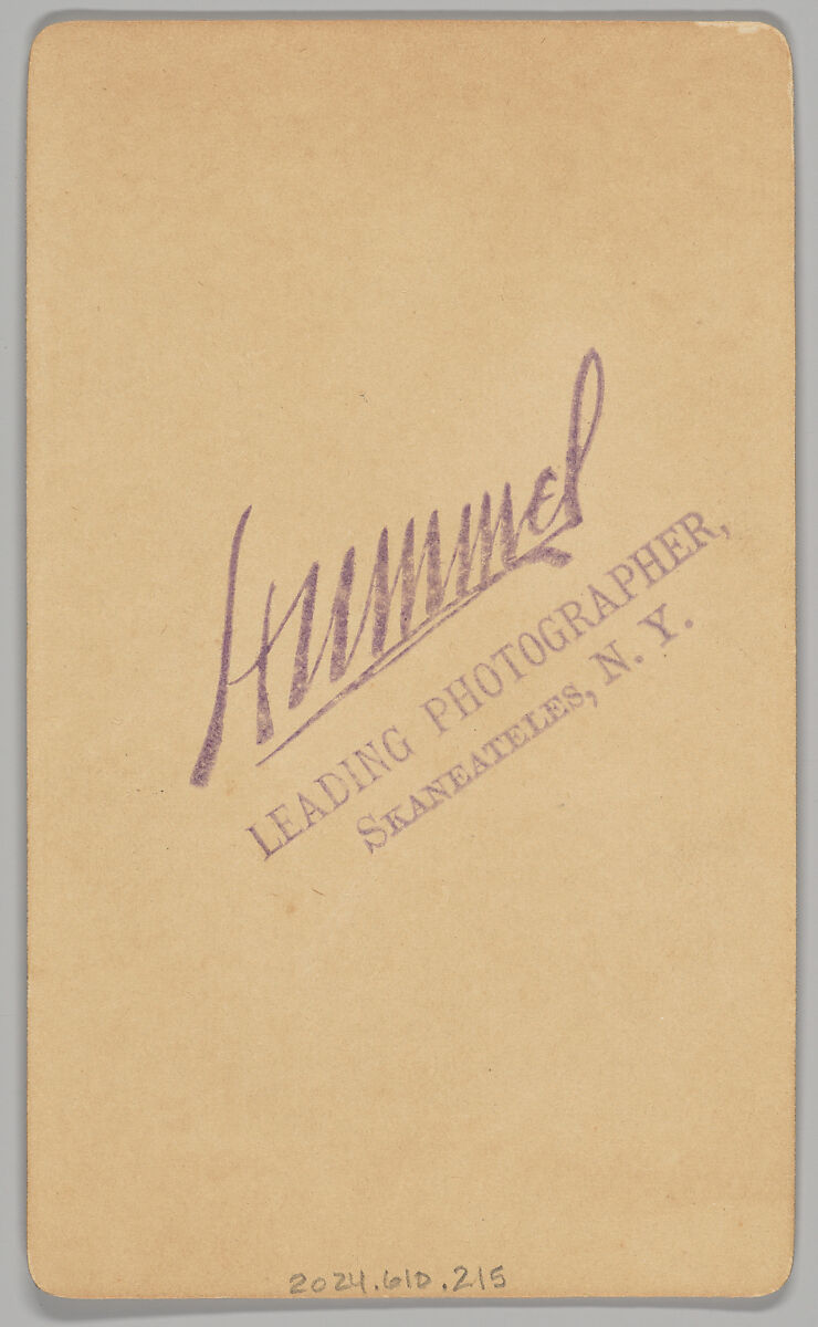 [Merchants' Carnival Portrait: Mrs. Abercromby Millinery, Skaneateles, New York], William E. Hummel (American, active 1880s–1900s), Albumen silver print