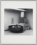 Pound Ridge, NY, Joanne Leonard  American, Gelatin silver print