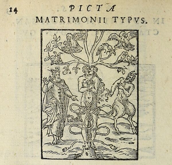 Picta poesis vt pictvra poesis erit, Barthélemy Aneau  French, Woodcut