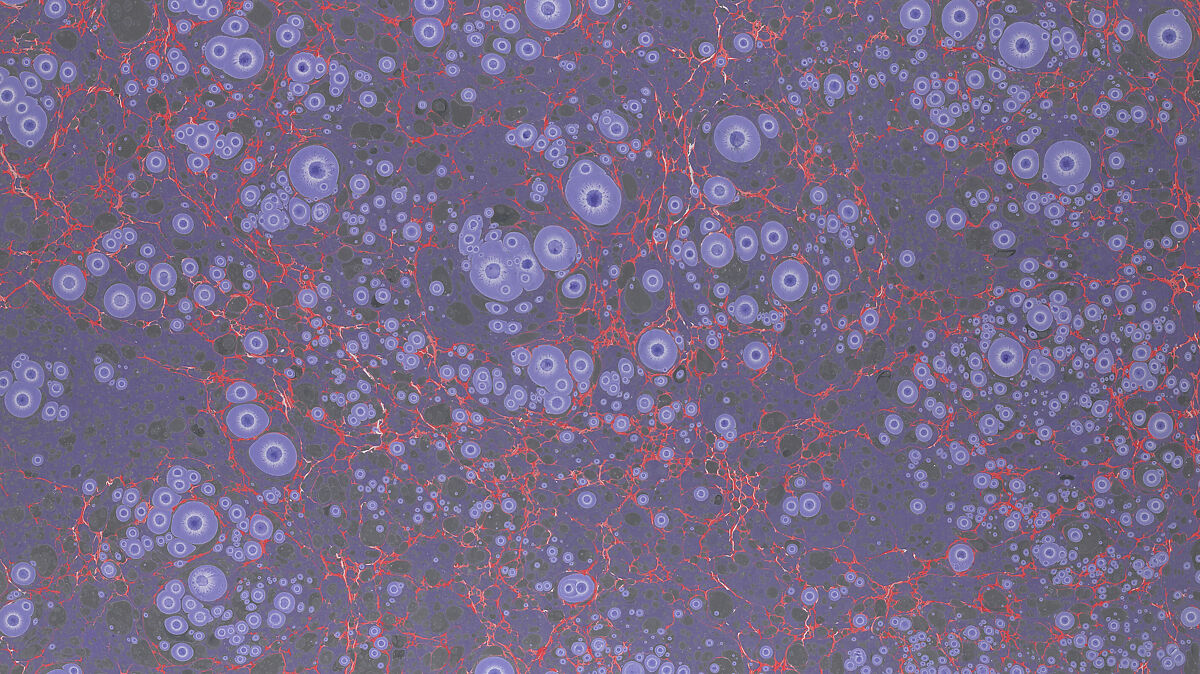 Set of historical marbled papers, Karli Frigge (Dutch, born Rotterdam, 1943)