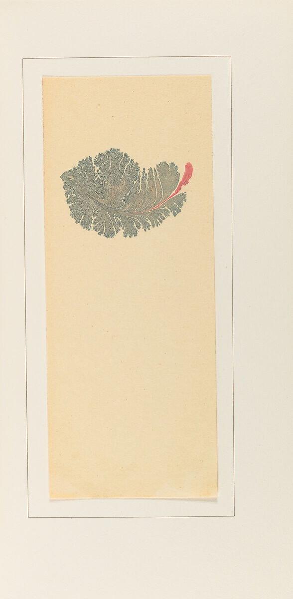 Marbled plants, Karli Frigge (Dutch, born Rotterdam, 1943)