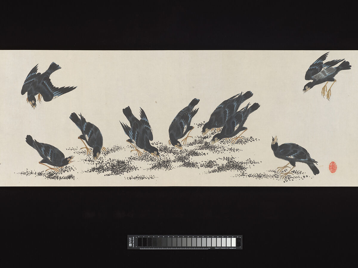 Crested Mynahs, (Morimoto) Itsuzan Mokuin (Japanese, 1702–1778), Handscroll: ink and color on paper, Japan