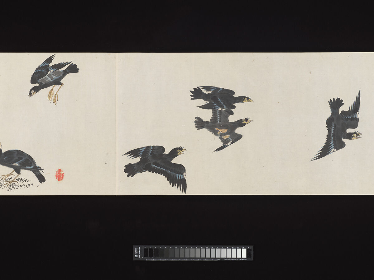 Crested Mynahs, (Morimoto) Itsuzan Mokuin (Japanese, 1702–1778), Handscroll: ink and color on paper, Japan