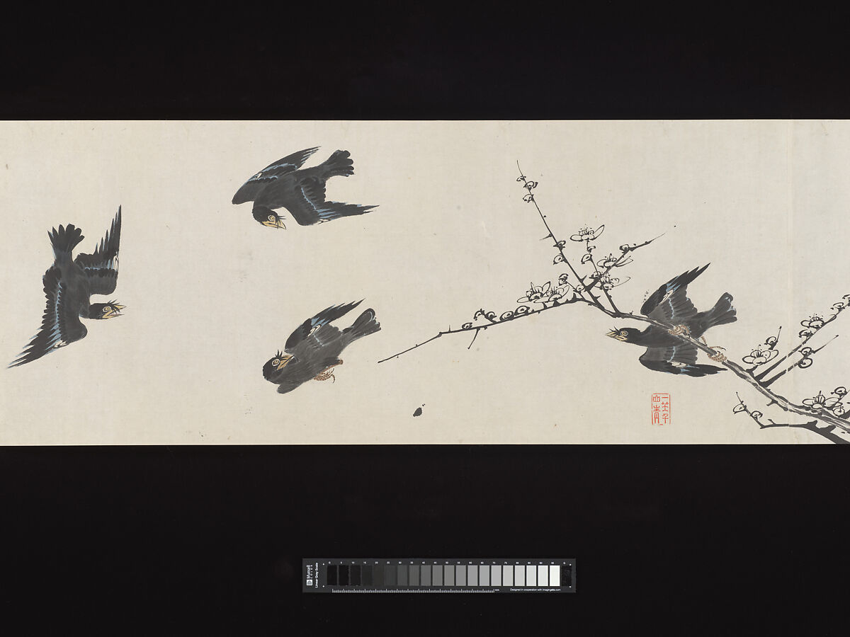 Crested Mynahs, (Morimoto) Itsuzan Mokuin (Japanese, 1702–1778), Handscroll: ink and color on paper, Japan