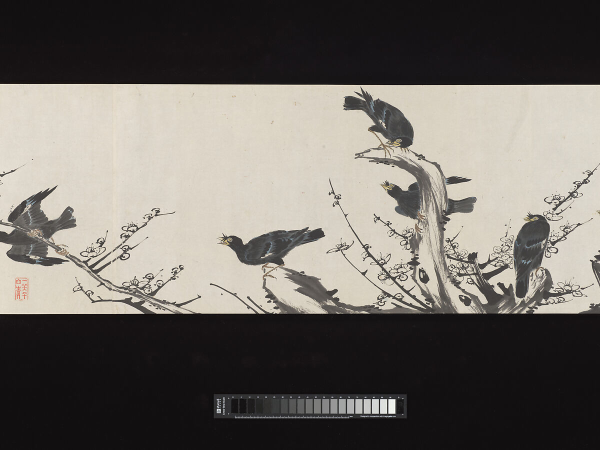 Crested Mynahs, (Morimoto) Itsuzan Mokuin (Japanese, 1702–1778), Handscroll: ink and color on paper, Japan