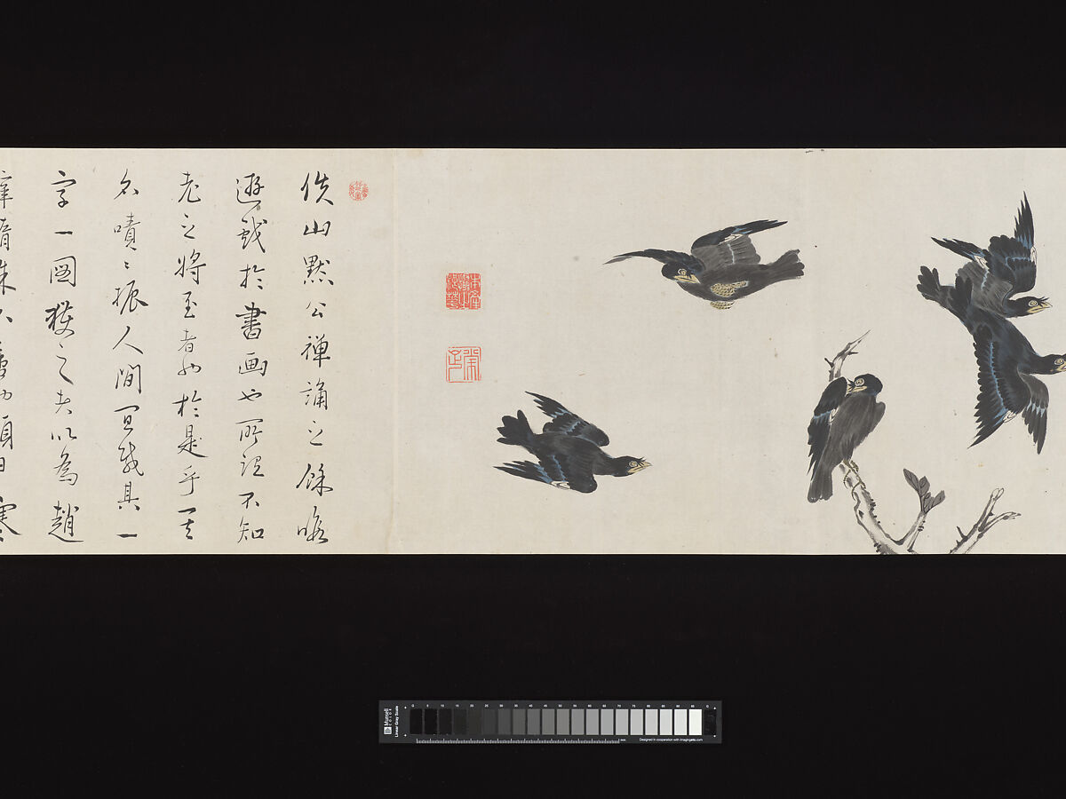 Crested Mynahs, (Morimoto) Itsuzan Mokuin (Japanese, 1702–1778), Handscroll: ink and color on paper, Japan