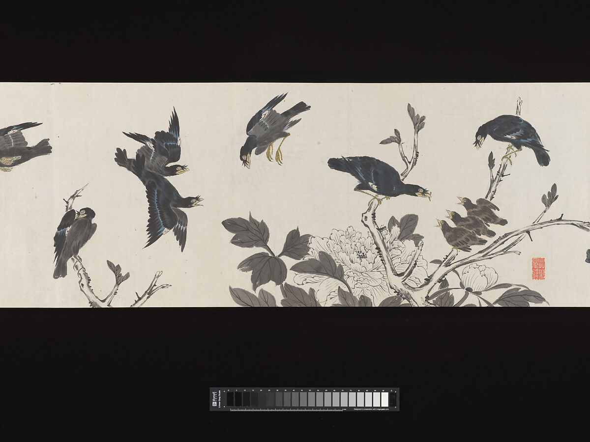 Crested Mynahs, (Morimoto) Itsuzan Mokuin (Japanese, 1702–1778), Handscroll: ink and color on paper, Japan