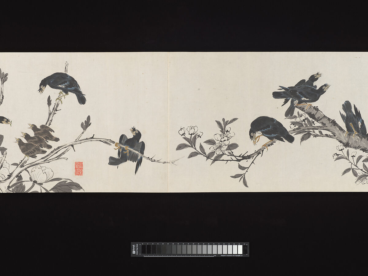Crested Mynahs, (Morimoto) Itsuzan Mokuin (Japanese, 1702–1778), Handscroll: ink and color on paper, Japan