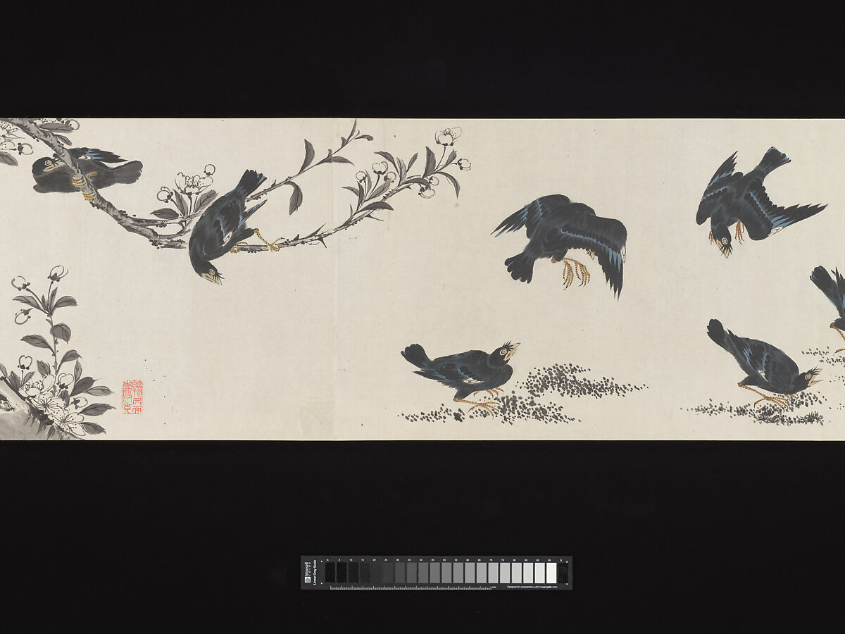 Crested Mynahs, (Morimoto) Itsuzan Mokuin (Japanese, 1702–1778), Handscroll: ink and color on paper, Japan