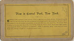 [53 Stereographic Views of Music Stand, Central Park, New York], Various, American, Albumen silver prints