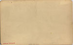 [53 Stereographic Views of Music Stand, Central Park, New York], Various, American, Albumen silver prints