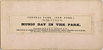 [53 Stereographic Views of Music Stand, Central Park, New York], Various, American, Albumen silver prints