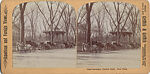 [53 Stereographic Views of Music Stand, Central Park, New York], Various, American, Albumen silver prints