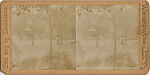 [53 Stereographic Views of Music Stand, Central Park, New York], Various, American, Albumen silver prints