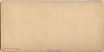 [53 Stereographic Views of Music Stand, Central Park, New York], Various, American, Albumen silver prints