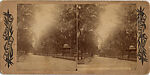 [53 Stereographic Views of Music Stand, Central Park, New York], Various, American, Albumen silver prints