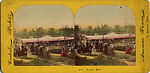 [53 Stereographic Views of Music Stand, Central Park, New York], Various, American, Albumen silver prints