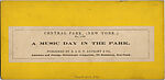 [53 Stereographic Views of Music Stand, Central Park, New York], Various, American, Albumen silver prints