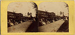 [53 Stereographic Views of Music Stand, Central Park, New York], Various, American, Albumen silver prints