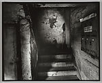 Untitled, from the series Apartment, Ishiuchi Miyako  Japanese, Gelatin silver print