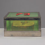 Untitled #73 (from the series 'Technological Reliquaries'), Paul Thek (American, New York 1933–1988 New York), Beeswax, plexiglas and metal