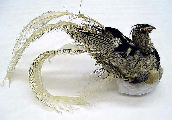 Hat, William J. (American, 1948–1962), feathers, silk, cotton, plastic, American 