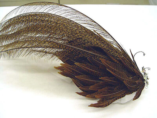 Hat, William J. (American, 1948–1962), a) feather, wool, silk, plastic; b) crystal, metal; c) feather, metal, plastic, American 