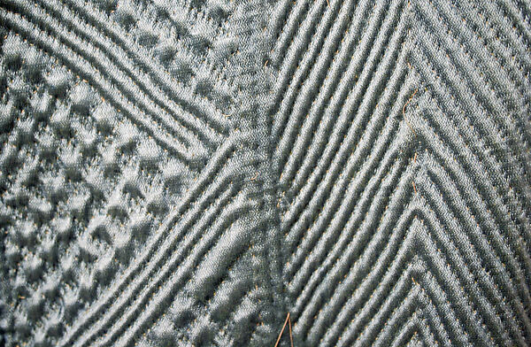 Quilted Coat with Long Sleeves, Silk and cotton; satin weave; plain weave; quilted