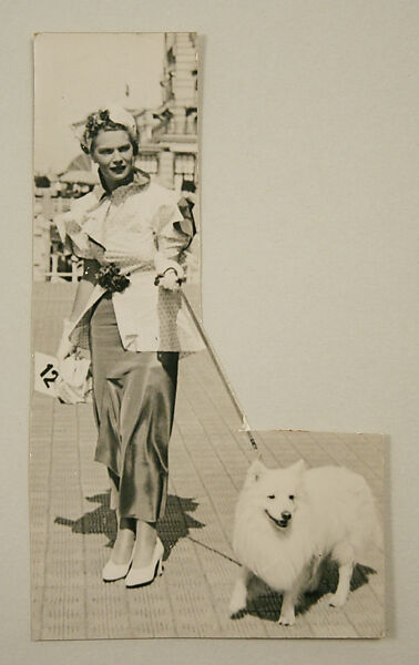 Illustration, Illustration by Leo Van Witsen, paper, American