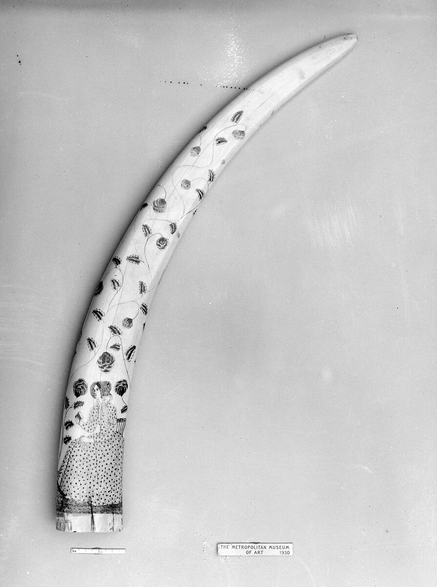 Decorated Walrus Tusk | The Metropolitan Museum of Art